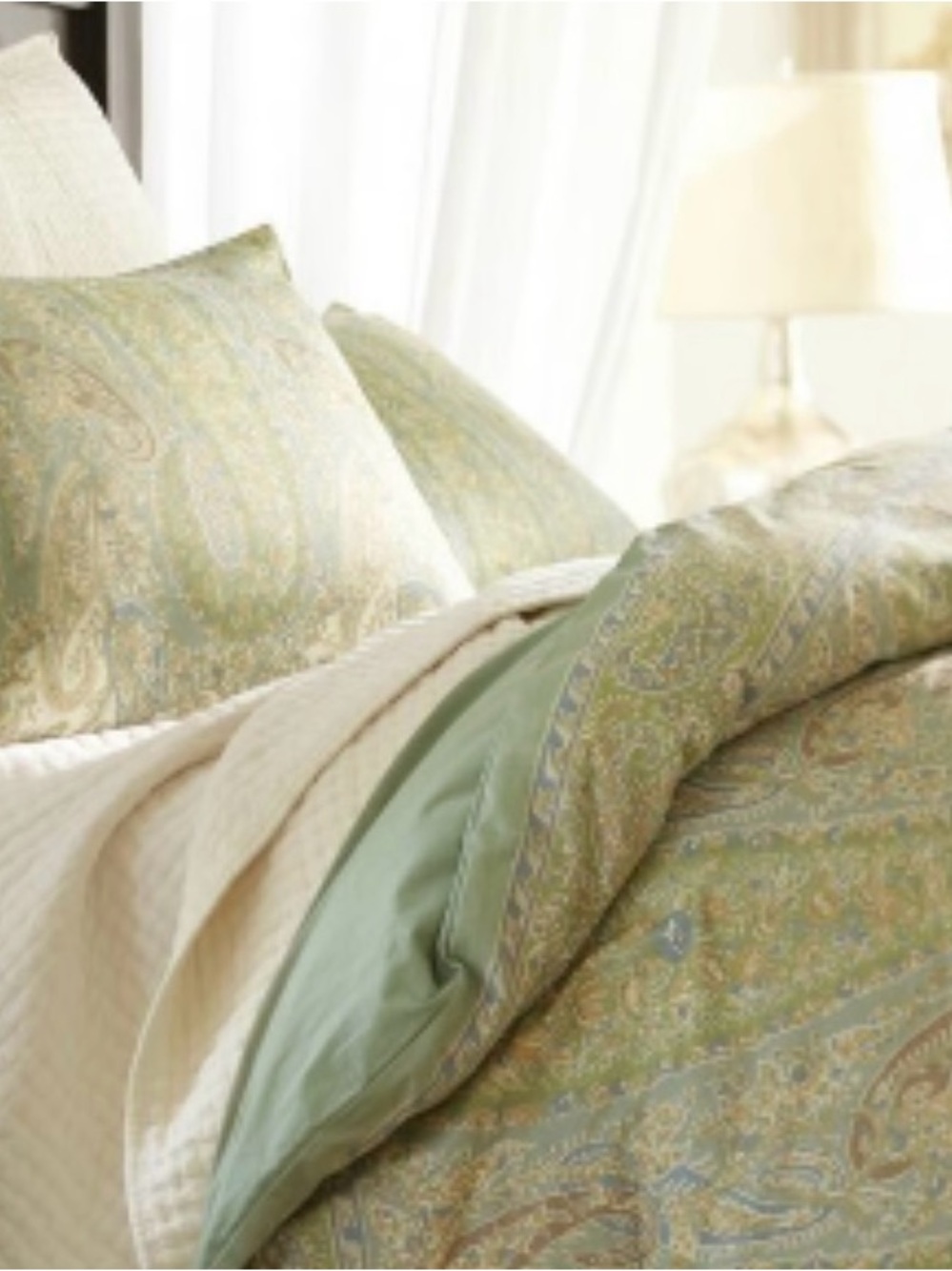 Vintage Cottagecore Pottery Barn Colette Paisley Duvet Euro Shams Set Size Queen